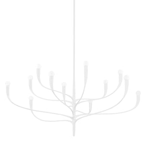 Hudson Valley Lighting Labra 12 Light Chandelier