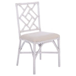 Safavieh Bhumi Accent Chair W/Cushion(Set of 2) , ACH6509
