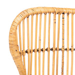 Safavieh Lenu Rattan Accent Chair With Cushion, ACH6510 - Natural/White/Black