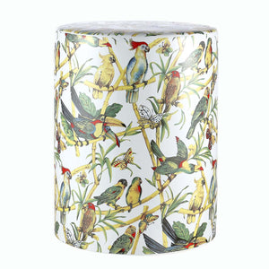 Safavieh Forla Garden Stool, ACS4583