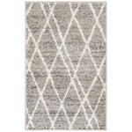 Safavieh Adirondack 128 Rug, ADR128 - IVORY / SILVER