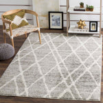Safavieh Adirondack 128 Rug, ADR128 - IVORY / SILVER