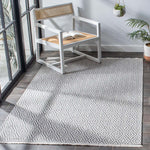 Safavieh Augustine 484 Rug, AGT484 - Grey / Ivory