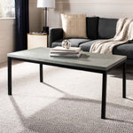 Safavieh Dennis Coffee Table , AMH6588 - Ash Grey