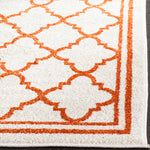 Safavieh Amherst 422 Rug, AMT422 - Beige / Orange