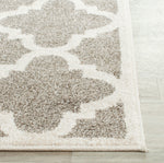 Safavieh Amherst 423 Rug, AMT423 - Dark Grey / Beige