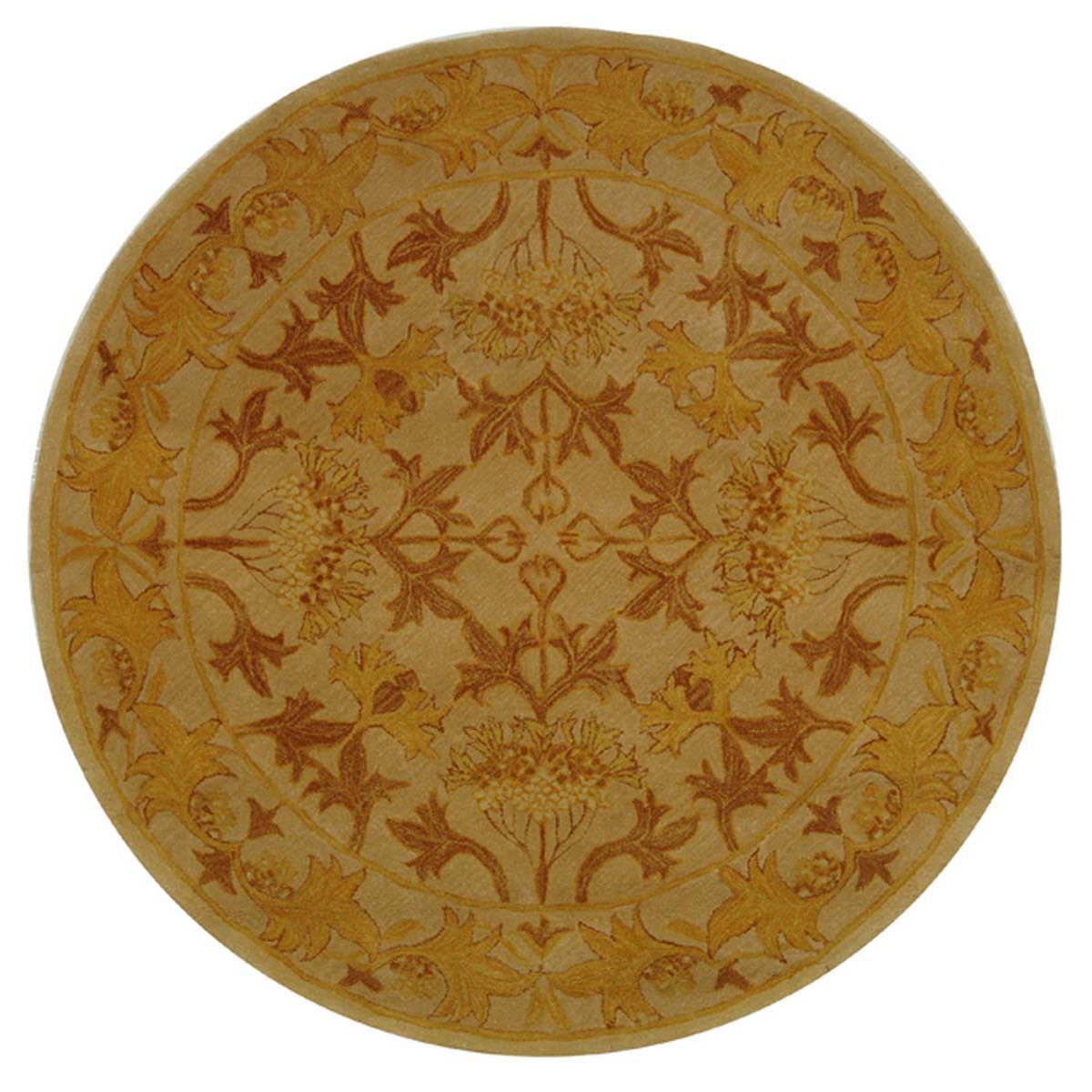 Beige / Gold - Beige / Gold