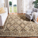 Safavieh Anatolia 87C Rug, AN587C - Brown / Beige