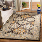 Safavieh Aspen 304 Rug, APN304 - Beige / Brown