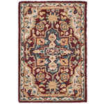 Safavieh Aspen 507 Rug, APN507 - Red / Blue