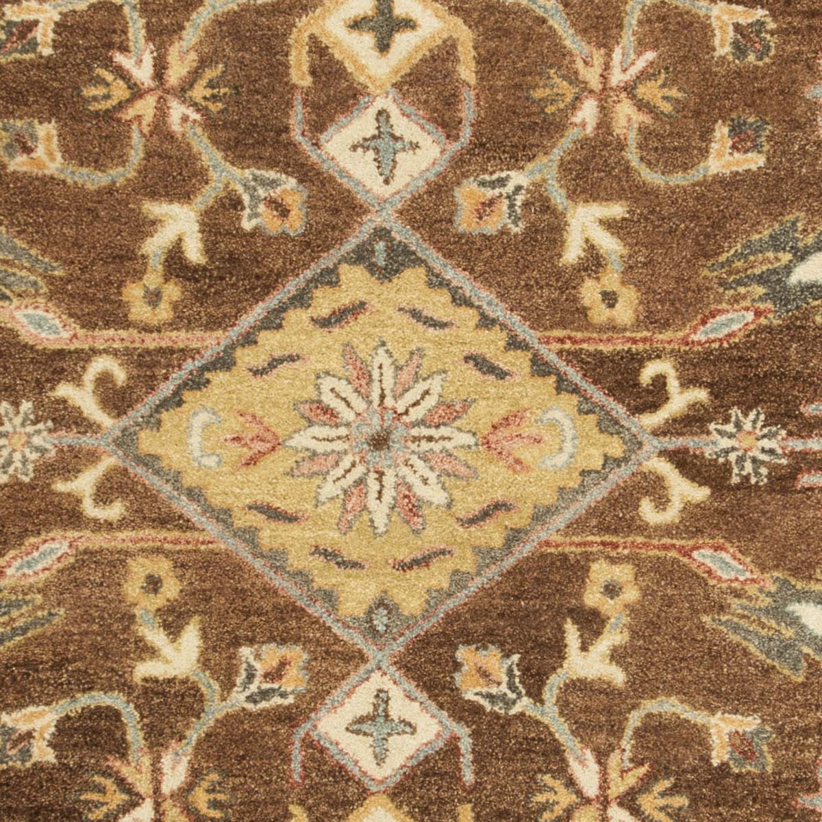 Safavieh Antiquity 02T Rug, AT502T - Dark Brown / Ivory