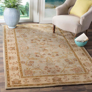 Safavieh Antiquity 62 Rug, AT62