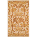 Safavieh Antiquity 41B Rug, AT841B - Beige / Gold