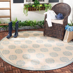 Safavieh Beach House 181 Rug, BHS181 - Cream / Aqua