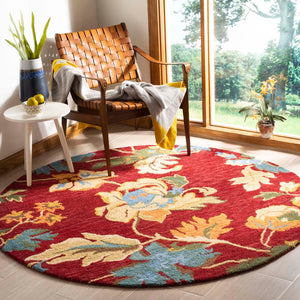Safavieh Blossom 672 Rug, BLM672