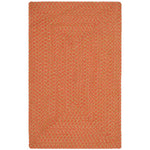 Safavieh Braided 168 Rug, BRD168 - Multi