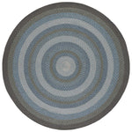 Safavieh Braided 652 Rug, BRD652 - Light Blue / Green