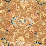 Safavieh Bergama 161 Rug, BRG161 - Brown / Blue