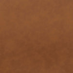 Safavieh Raylee Counter Stool , BST3015 - Cognac / Black