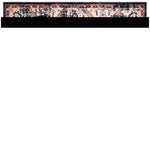 Safavieh Charleston 413 Rug, CHL413 - Navy / Ivory