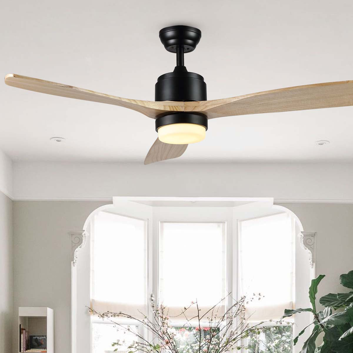 Safavieh Vencin Ceiling Fan Light , CLF1020 - Assorted