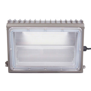Safavieh Led Wall Pack Light , CLT1001