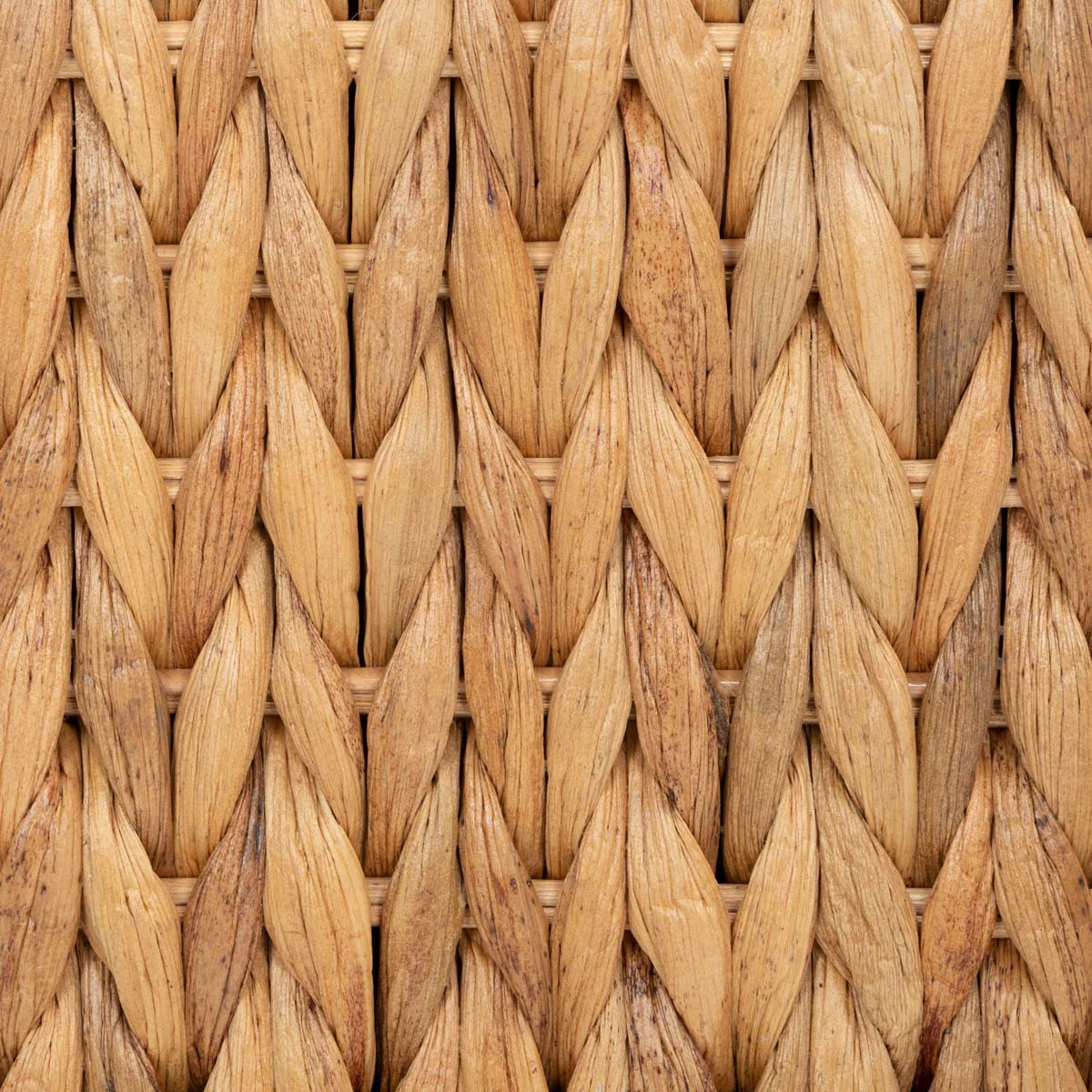 Natural / Beige - Natural / Beige