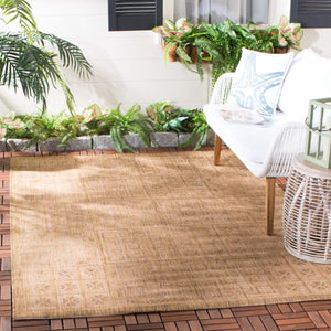 Safavieh Courtyard 947 Rug, CY6947