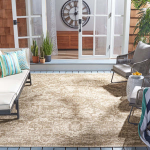 Safavieh Courtyard 960 Rug, CY6960