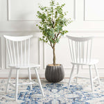 Safavieh Jodan Dining Chair , DCH1404 - White (Set of 2)