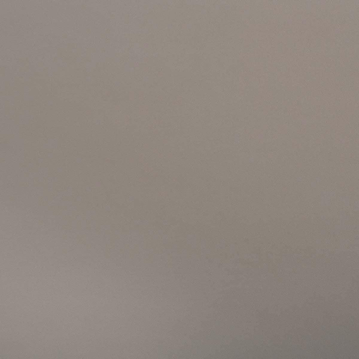 Safavieh Layne Dining Chair (Set of 2), DCH3003 - Light Grey / Black