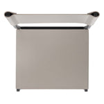 Safavieh Layne Dining Chair (Set of 2), DCH3003 - Light Grey / Black