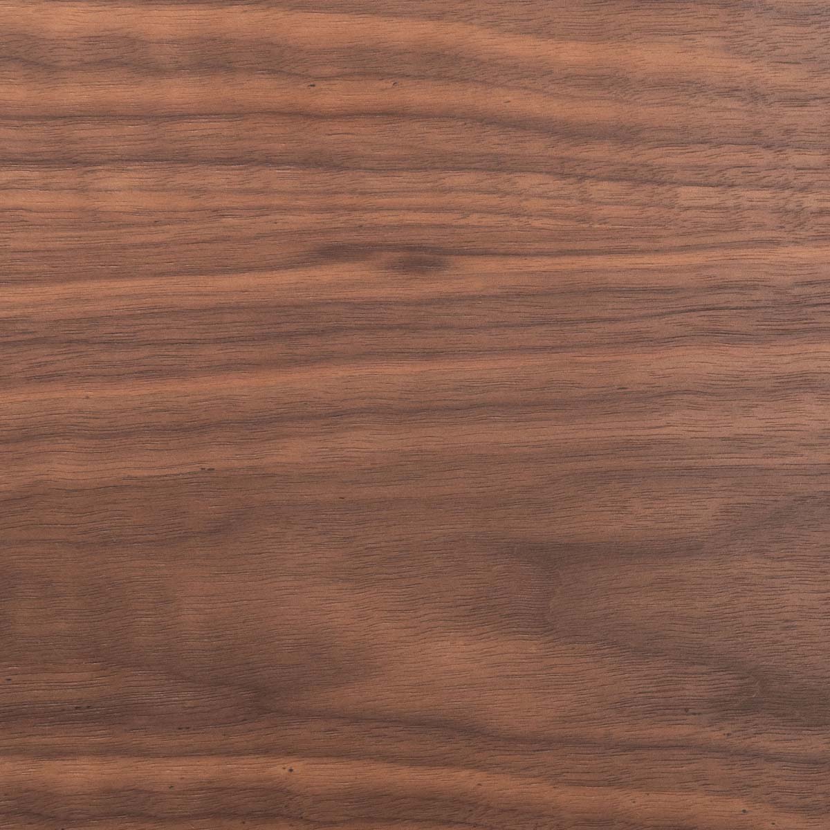 Safavieh Ryker Dining Chair (Set of 2), DCH3007 - Walnut / Black