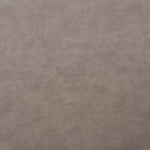 Safavieh Mika Dining Chair (Set of 2) , DCH3009 - Stone Grey