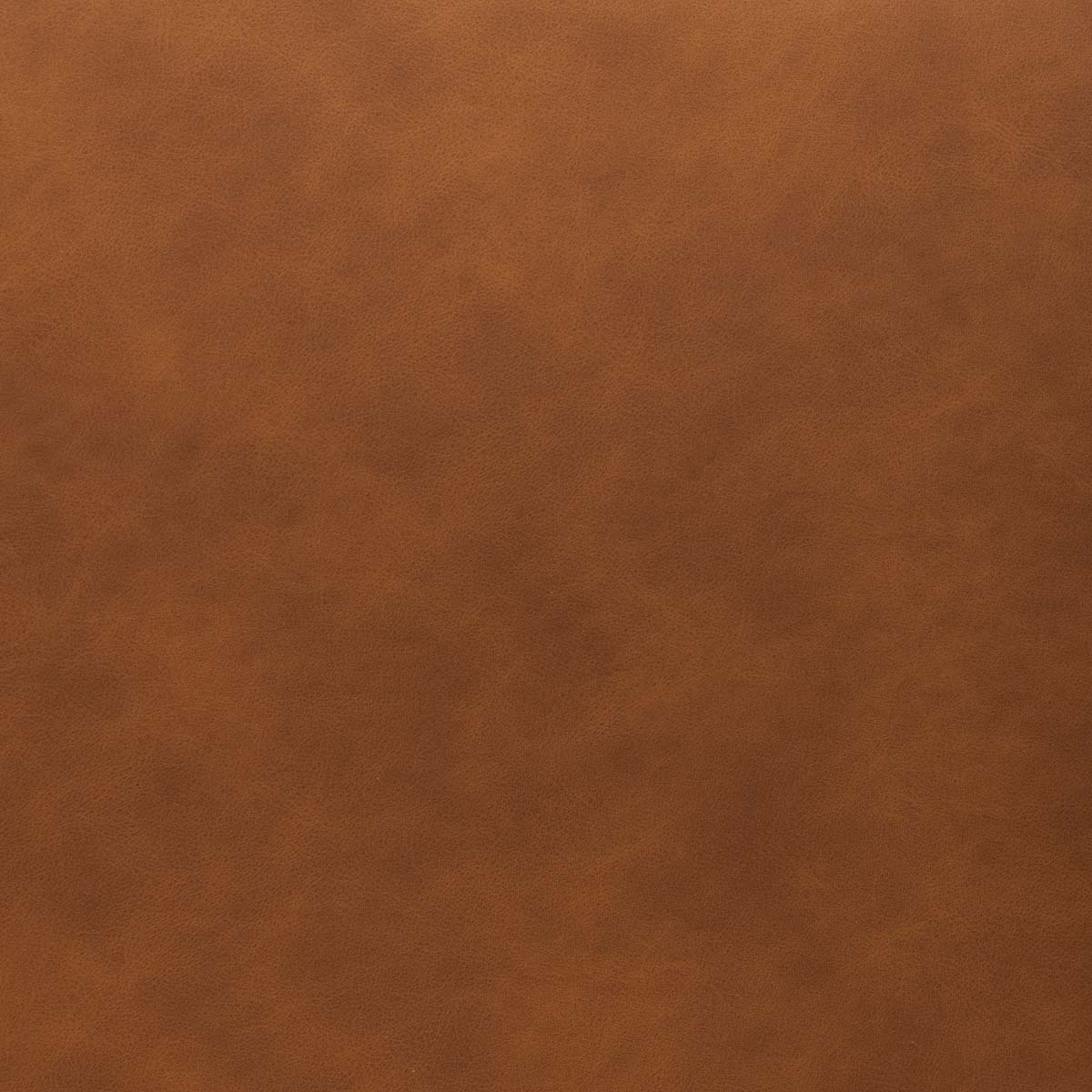 Safavieh Kayne Dining Chair (Set of 2) , DCH3010 - Cigar Brown