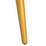 Safavieh Jorja 1 Drawer 1 Shelf Desk , DSK2200 - Black/Gold