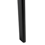 Safavieh Pamella 2 Shelf Leaning Desk , DSK9400 - Black