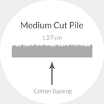 Safavieh Chatham 718 Rug, CHT718