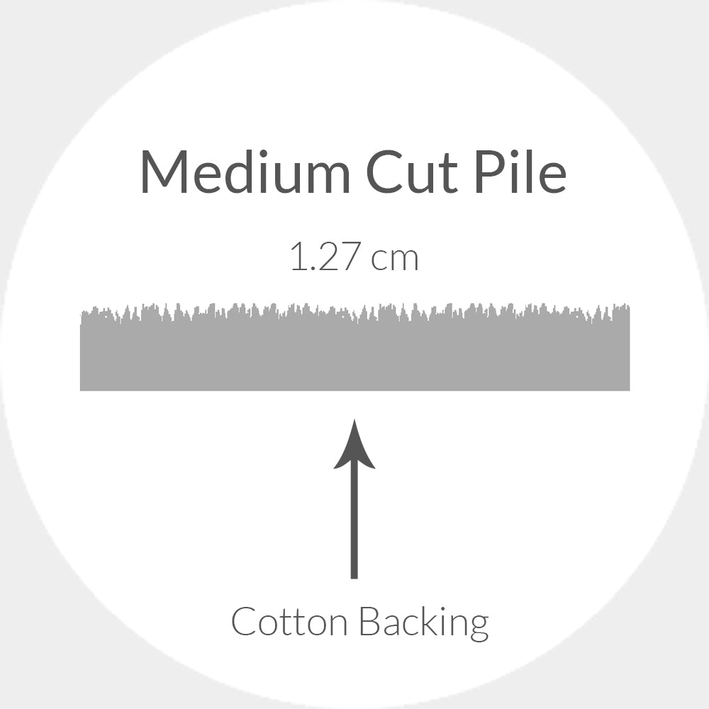 Safavieh Chatham 730 Rug, CHT730