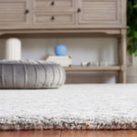 Safavieh Ebony 103 Rug, EBN103 - Grey / Ivory