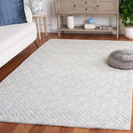 Safavieh Ebony 103 Rug, EBN103 - Grey / Ivory
