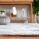 Safavieh Ebony 108 Rug, EBN108 - Grey / Ivory