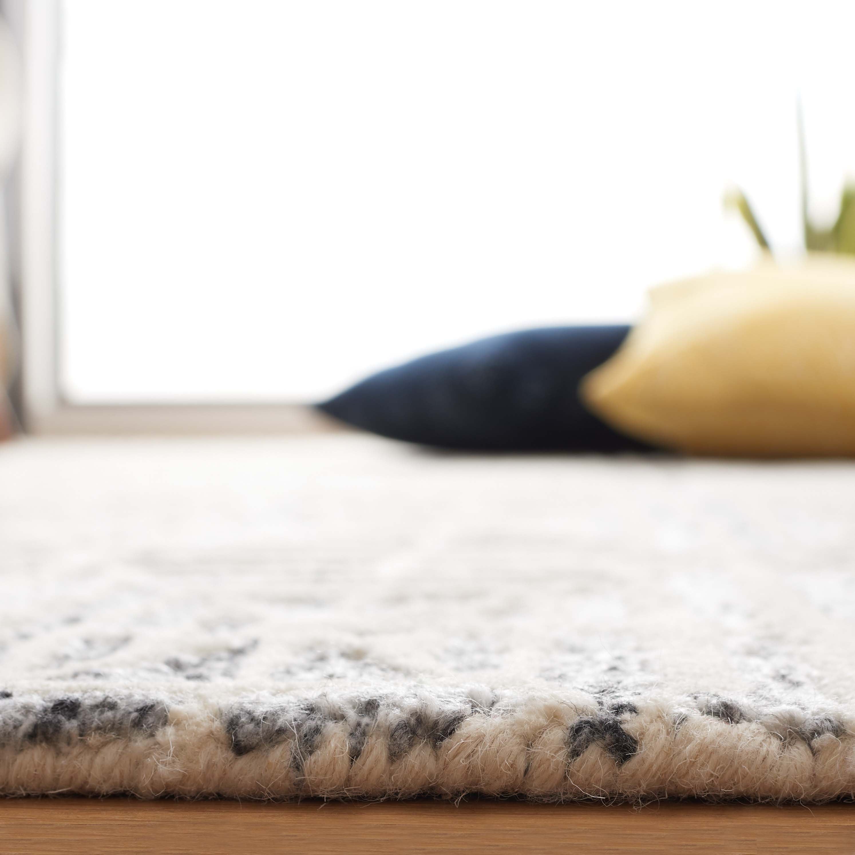 Safavieh Ebony 110 Rug, EBN110 - Grey / Ivory