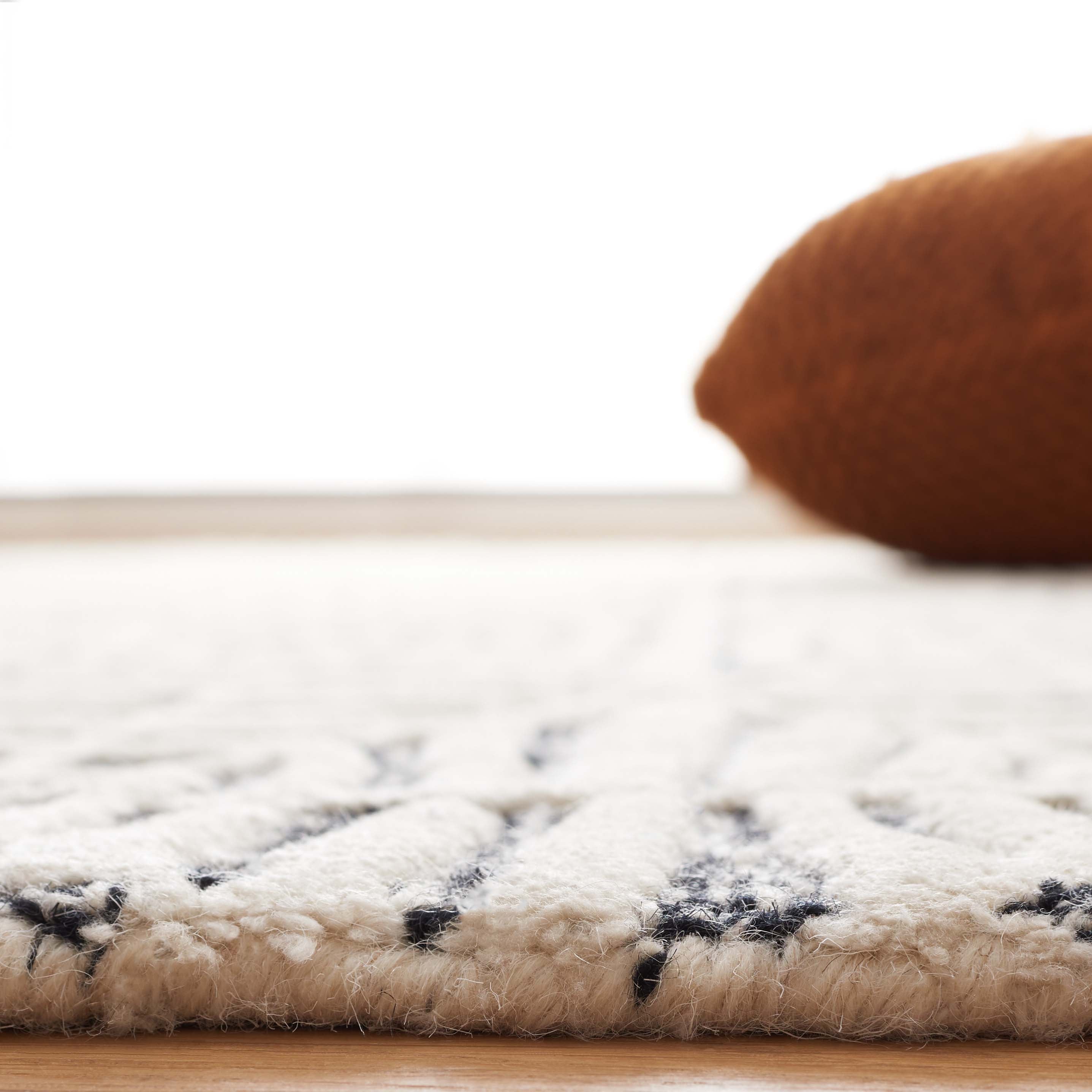 Safavieh Ebony 110 Rug, EBN110 - Black / Ivory