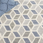 Safavieh Ebony 656 Rug, EBN656 - Ivory / Grey