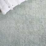 Safavieh Easy Care 211 Rug, ECR211 - Light Blue / Ivory