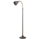 Safavieh Naldo 60 Inch H Floor Lamp, FLL4011 - Dark Grey