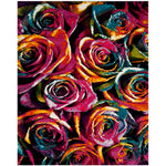 Safavieh Fiesta Shag 366 Rug, FSG366 - Fuchsia / Multi