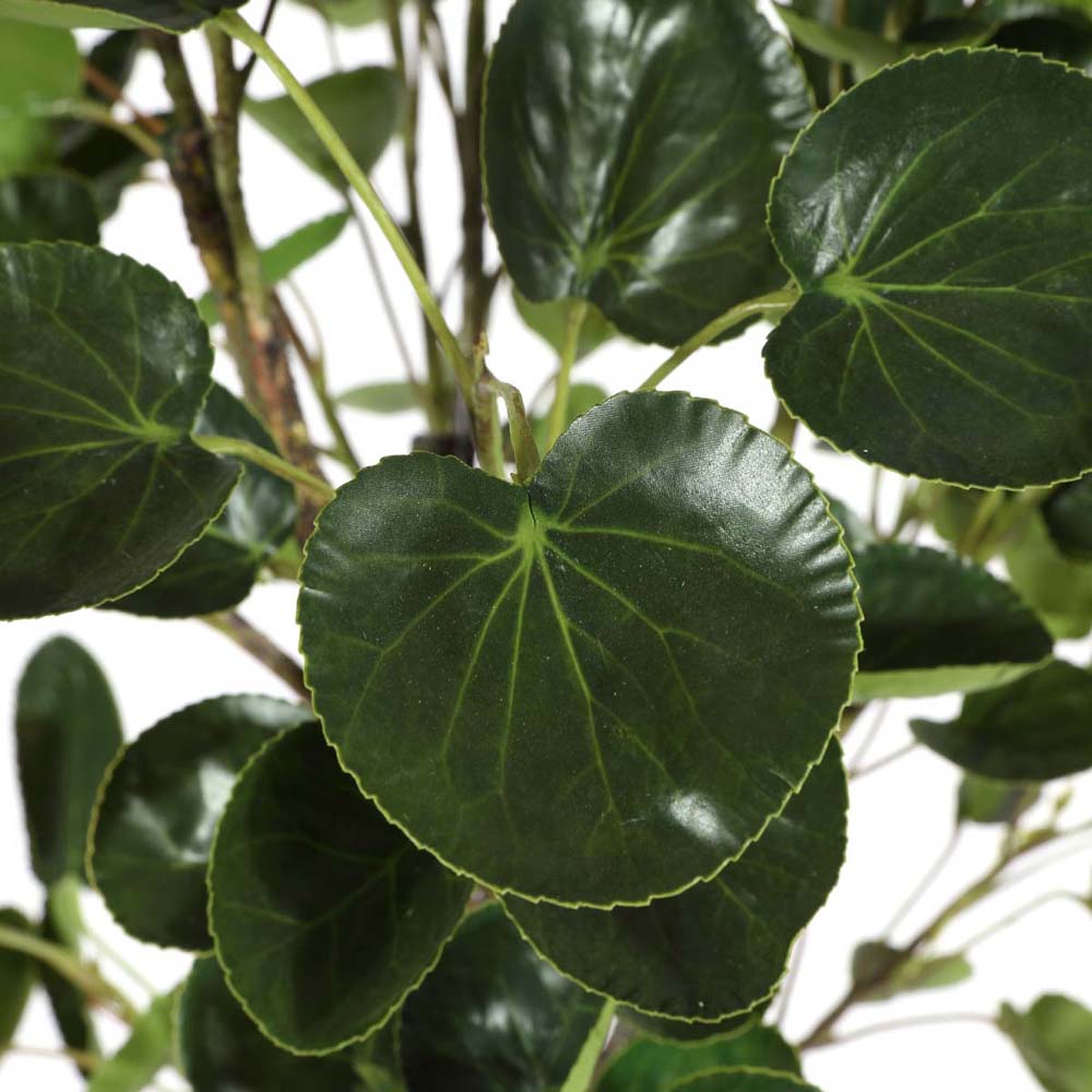 Safavieh Faux Polyscias Fruticosa Potted Tree