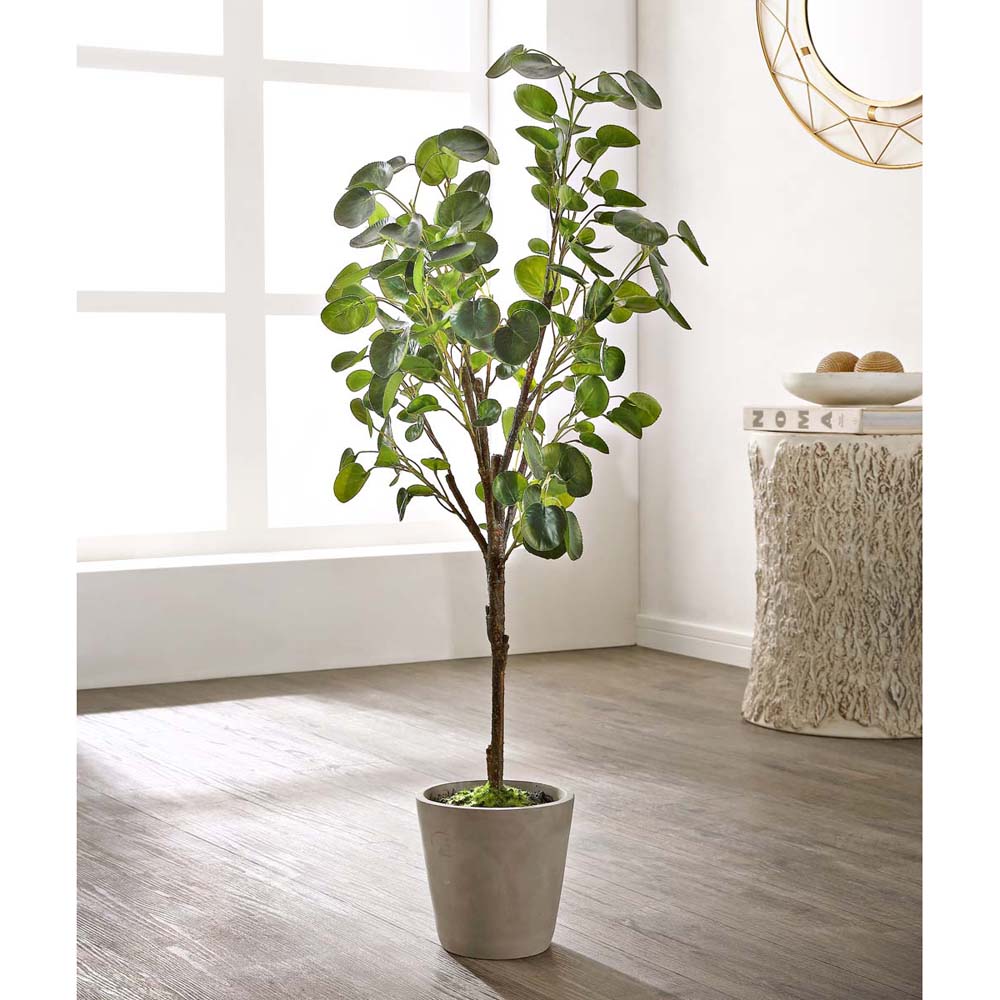 Safavieh Faux Polyscias Fruticosa Potted Tree